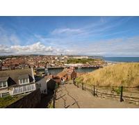 North Yorkshire Moors and Whitby Day Tour from York