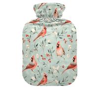 Northern Birds Green Hot-Water Bottle with Soft Cover, 1L Hot Compress Bag for Neck Shoulder Warmer