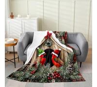 Northern Cardinal Flannel Blankets,Christmas Hat Bird Fleece Blanket,Kids Girls Boys Adult Pinecone Pine Tree Fuzzy Blankets Red Black Check Sherpa Blanket Chair Sofa Bed Decor,30"×40"