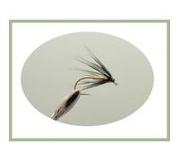Northern Counties Black and Gold Spiders, 6 Per Pack Wet Trout Fly. Fly Fishing, Choice (14)