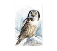 Northern Hawk-Owl, Cedar Forest Birds And Animals Watercolor Art Canvas Poster Wall Art Decor Print Picture Paintings for Living Room Bedroom Decoration 16" L X 24" W