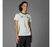 Northern Ireland 25 (Women's Team) Away Jersey