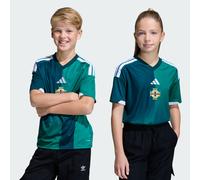 Northern Ireland 26 Home Kids Jersey