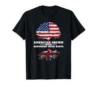 Northern Ireland American Grown Northern Irish Roots Value Graphic T-Shirt, Men, Black, L