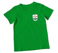 Northern Ireland Kids T Shirt Northern Irish Football Graphic Tee Flag Kids Casual Wear Idea for Boys and Girls, 2-3 Years, Irish Green