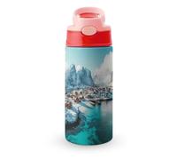 Northern Lights Over The Lofoten Islands Norway Cute Water Bottle with Straw Lid Stainless Steel Drink Tumbler Insulated Flip Top Cups 350ml