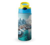 Northern Lights Over The Lofoten Islands Norway Cute Water Bottle with Straw Lid Stainless Steel Drink Tumbler Insulated Flip Top Cups 350ml