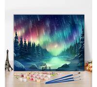Northern Lights Paint by Numbers Green Oil Painting Paint by Numbers for Adults Beginner Aurora Borealis DIY Oil Painting Kit for Adults with Brushes and Acrylic Pigment Crafts Wall Decor 16x20inch