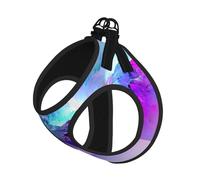 Northern Lights Painting Compact Pet Suspender Vest-The Perfect Small Pet For A Comfortable Walk