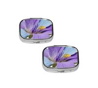 Northern Lights Painting Print pilldispenser 2 Compartment Medicine Case, Portable pilldispenser for Pocket Or Purse Pillbox