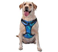 Northern Lights Pet Traction Vest â€“ Full Print Design With Reflective Straps For Enhanced Safety And Comfort