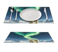 Northern Lights Polar Bear Placemats 4 PCS PVC Place Mats, Washable Heat Resistant Non-Slip Table Mats, Waterproof Placemats Set for Indoor & Outdoor Dining Table Kitchen Holiday Party
