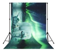 Northern Lights Polar Bear Print Backdrop For Photoshoot, Photo Backdrop Background Curtain For Photography Portraits(No Stand)