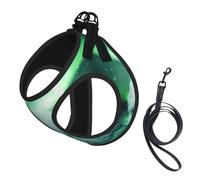 Northern Lights Polar Bear print Dog Harness and Leash Set, Reflective Adjustable Puppy Vest for Small Medium Large Dogs, Cats