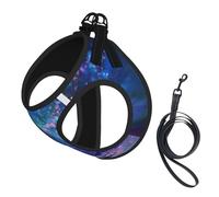 Northern Lights print Dog Harness and Leash Set, Reflective Adjustable Puppy Vest for Small Medium Large Dogs, Cats