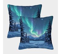 Northern Lights-Winter Landscape Art Pillow Covers 2 Pack Cozy Pillowcases Art Cushion Covers with Invisible Zipper Decor for Sofa Living Room Bed Home 45x45cm