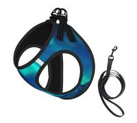 Northern Lights1 print Dog Harness and Leash Set, Reflective Adjustable Puppy Vest for Small Medium Large Dogs, Cats