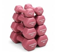NORTHERN Neoprene Dumbbell Set 2kg, 4kg, 6kg, 8kg - Dusk Pink