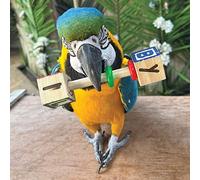 Northern Parrots ABC Parrot Rattle Foot Toy - Large