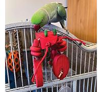 Northern Parrots Jimmy the Lobster Play Perch Parrot Toy
