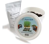 Northern Parrots Parrot Cafe Organic Wheat Grass Parrot Treat - Grow Your Own