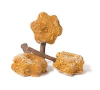 Northern Parrots Parrot Cafe Walnut & Rice Lollipop Parrot Treats Pack of 3