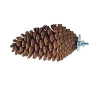 Northern Parrots Pine Cone Perch and Party Fun Foraging Parrot Perch