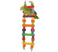 Northern Parrots Rainbow Wooden Parrot Ladder Small African Grey Amazon Cockatoo Conure Macaw