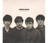 Northern Uproar - Rollercoaster