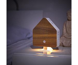Northpoint Natural sound box with different bird sounds. Light on the bottom. Rechargeable with wall mount. Wood
