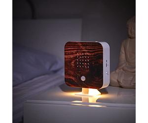 Northpoint Natural Soundbox Bird Singing Bird Chirping Box Motion Sensor Bird Sound Light Rechargeable with Wall Mount Flamed Wood Square