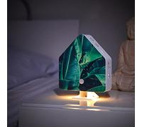 Northpoint Nature Sound Box Bird Chirping Bird Sounds Box Motion Sensor Bird Sounds Light Rechargeable with Wall Mount Palm Leaf Cottage