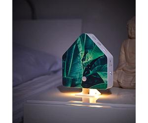 Northpoint Nature Sound Box Bird Chirping Bird Sounds Box Motion Sensor Bird Sounds Light Rechargeable with Wall Mount Palm Leaf Cottage