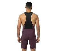 Northwave Fast Bib Shorts L Black