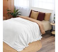 Northwest Ashford Home Cozy Warmwell Blanket Winter White Queen Size 90 x 90 inches