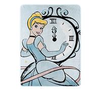 Northwest Cinderella Micro Raschel Throw Blanket, 46" x 60", On Time