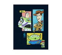 Northwest Disney Pixar Toy Story, Silk Touch Throw Blanket, 46 x 60 Inches