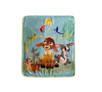 Northwest Disney Wish Silk Touch Sherpa Throw Blanket, 40 x 50 inches, My Friends