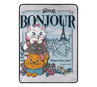 Northwest Disney's Aristocats Micro Raschel Throw Blanket, 46" x 60", Bonjour