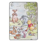 Northwest Disney's Winnie The Pooh Micro Raschel Throw Blanket, 46" x 60", Friend Picnic