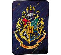 Northwest Harry Potter Micro Raschel Throw Blanket, 46" x 60", House Pinstripes