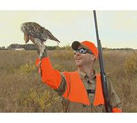 Northwest Minnesota Birds