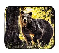 Northwest Morning Stroll Raschel Throw Blanket, 50" x 60"