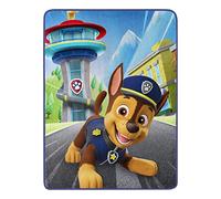 Northwest Paw Patrol Micro Raschel Throw Blanket, 46" x 60", Chase Your Dreams