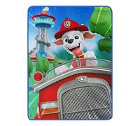 Northwest Paw Patrol Micro Raschel Throw Blanket, 46" x 60", On The Way