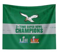NORTHWEST Philadelphia Eagles Throwback Logo, 2-Time Super Bowl Champions Wall Hanging, 34 x 40 inches