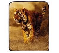 Northwest Savanna Tiger Oversized Raschel Throw Blanket, 60" x 80"
