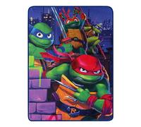 Northwest Teenage Mutant Ninja Turtles Micro Raschel Throw Blanket, 46" x 60", Mayhem Rules