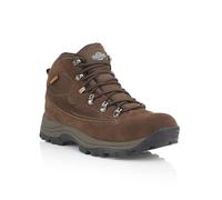 Northwest Territory Mens Kendall Waterproof Hiking Walking Lace Up Outdoor Boots (7 UK, Brown)