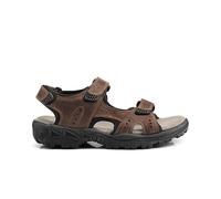 Northwest Territory Men's Windsor Leather Sandals in Dark Brown | Size: 8 Northwest Territory Dark Brown 8